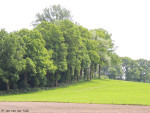 Austieberg 55 meter hoog